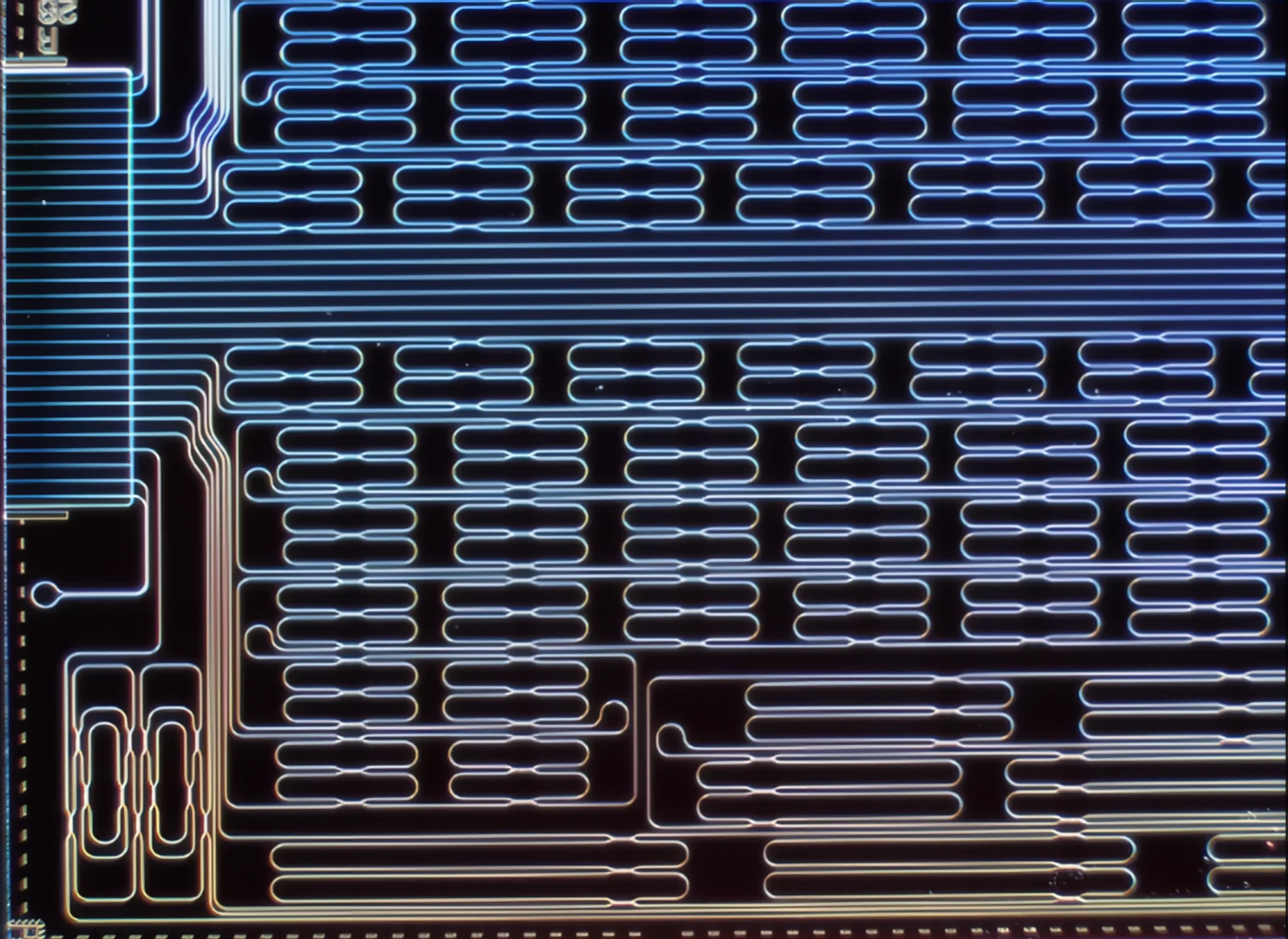 Microscope image of a photonic integrated circuit with waveguides and ring resonators.